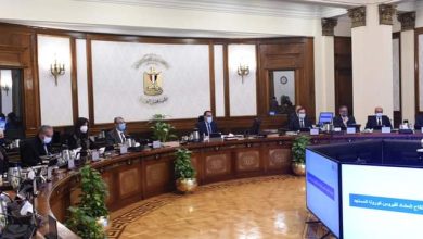 FB IMG 1647434939571