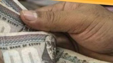 FB IMG 1647893034222