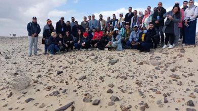 FB IMG 1648287190410