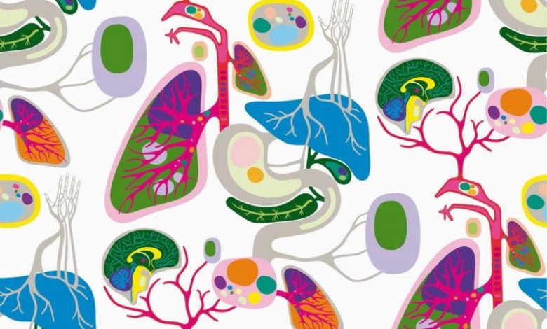 مراجعة الأحياء للثانةية العامة - للاستاذ عصام حنفى 1 unnamed file