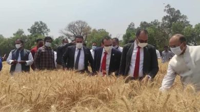 FB IMG 1649969435705