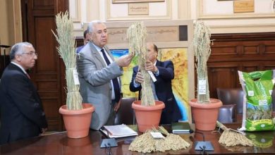 FB IMG 1650046430181 1