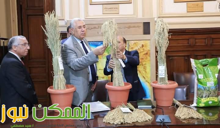 تكريم رئيس المشروع القومي لتطوير الأرز الفائز بالميدالية الذهبية في معرض جنيف الدولي للابتكارات 3 FB IMG 1650046430181 1