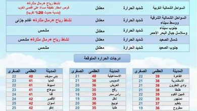 FB IMG 1650136035993