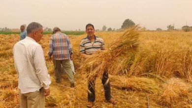 FB IMG 1650303074872