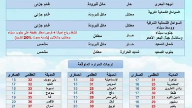 FB IMG 1650724053939