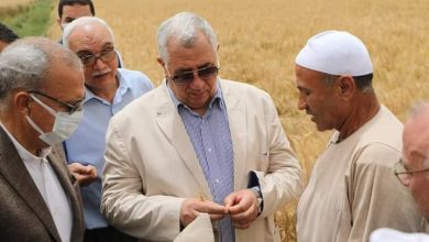 FB IMG 1650885953053