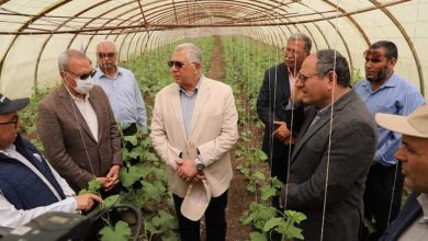 FB IMG 1650886939062