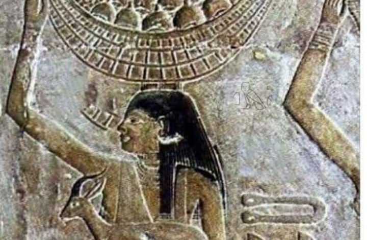 الملكية الفكرية للكحك مصرى ..طارق أحمد 6 IMG 20220426 WA0184