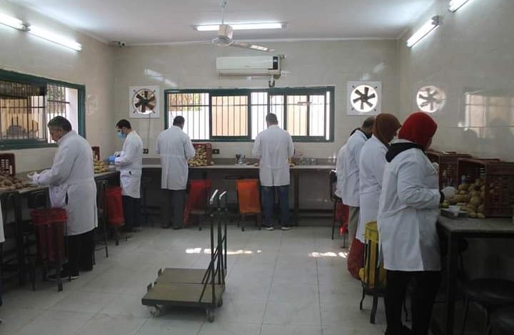 الزراعة" تعلن تجديد الاعتماد الدولي لمعامل مشروع العفن البنى وفحص أكثر من 900 ألف طن بطاطس هذا العام 4 FB IMG 1660848661568