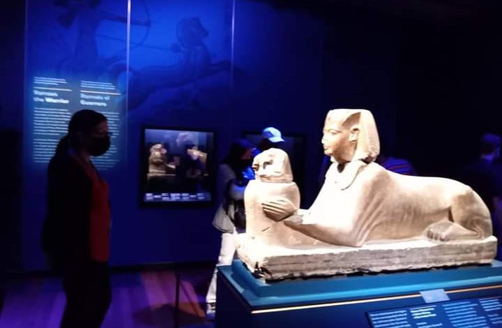 افتتاح معرض "رمسيس وذهب الفراعنة" بسان فرانسيسكو بامريكا 4 FB IMG 1660896084666