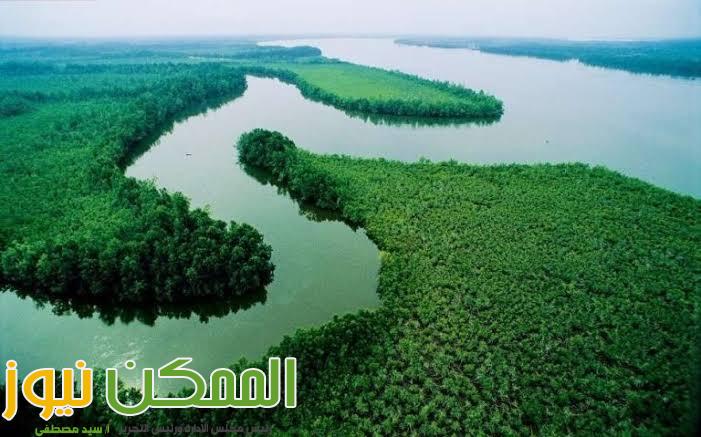 الكونغو والنيجر من أنهار أفريقيا 4 IMG 20221110 WA0054