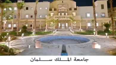 19371544681596564065