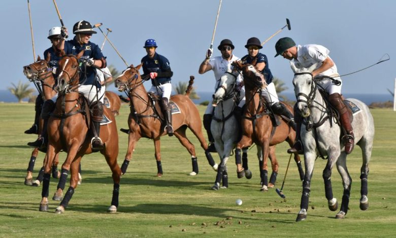 نشاط رياضى بمرسى علم ضمن "مهرجان البحر الأحمر " فى نسخته الثانية 6 IMG 20230103 WA0041