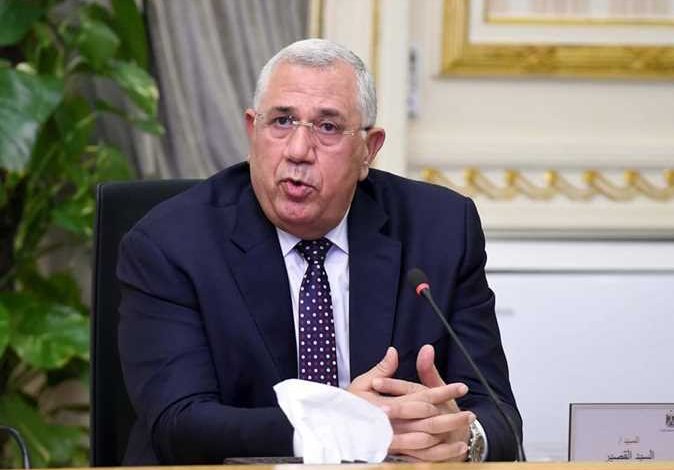 صادرات مصر الزراعية تتجاوز 3.4 مليون طن هذا العام 1 الزراعة