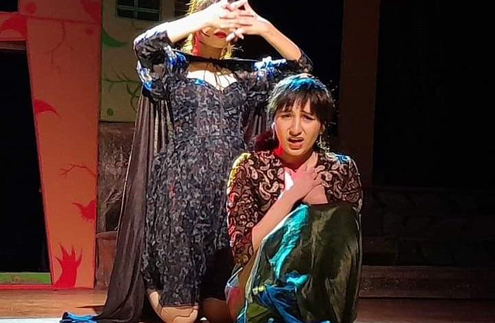 في طنطا والمحلة.. عروض قصور الثقافة المسرحية تخطف أنظار جمهور الغربية 5 FB IMG 1686338846686