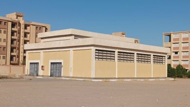 IMG 20231025 210854 081