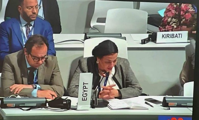 تفعيلاً لتوصيات مؤتمر المناخ COP27 : وزيرة البيئة تشارك فى أول مائدة مستديرة وزارية تعقد ب COP28 حول الانتقال العادل 3 FB IMG 1701632059509 1