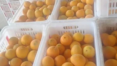 FB IMG 1701633621412