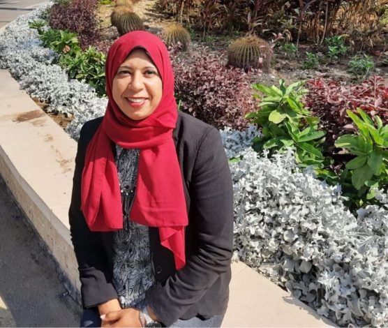 تخطي فشل تنفيذ الإستراتيجيات: مفتاح النجاح في عالم الأعمال.. بقلم د هويدا عزت 1 almomken.com 33eKq821