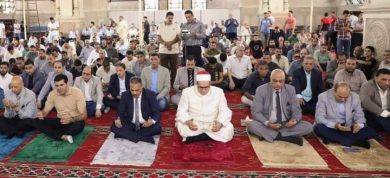 almomken.com lqm1ranP