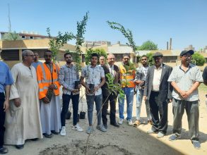 almomken.com vPlFZwzK