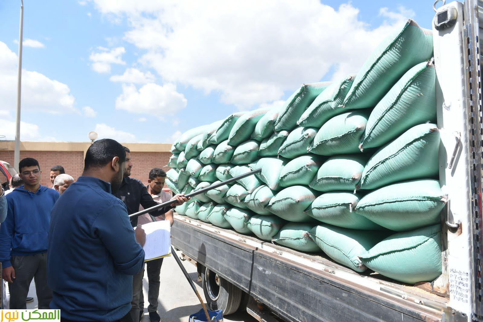 almomken.com fcaf3d74