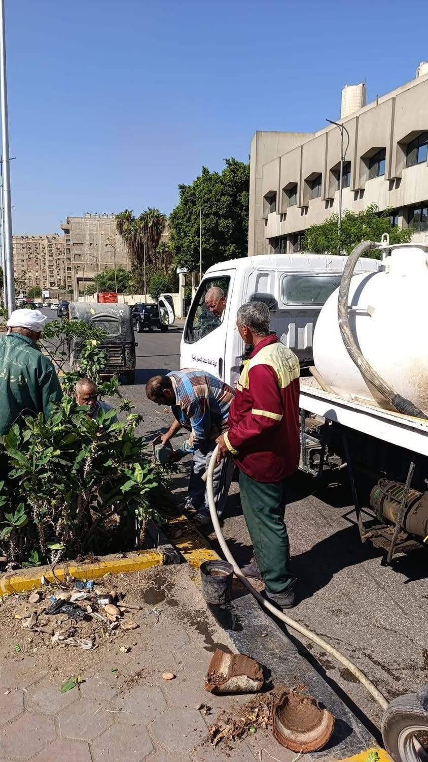 الجيزة تواصل جهودها لتجميل الشوارع ودعم المسطحات الخضراء