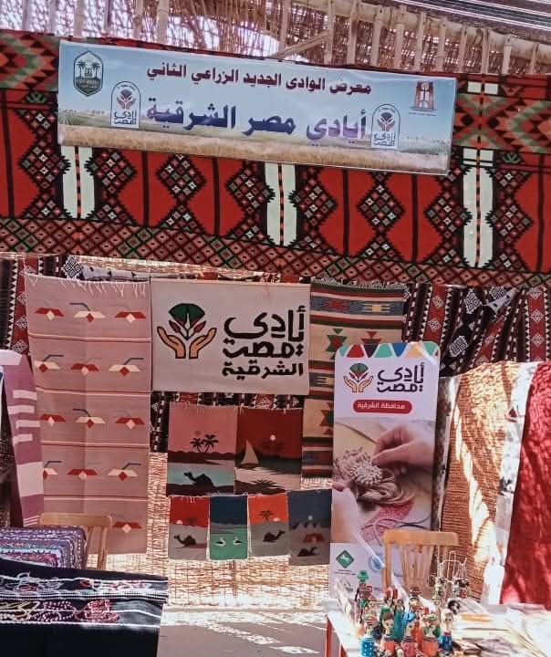  ايادى مصر بمحافظة الشرقية يشاركون فى معرض الوادى