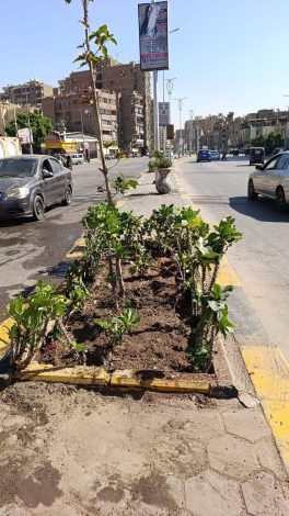 almomken.com 47728b84