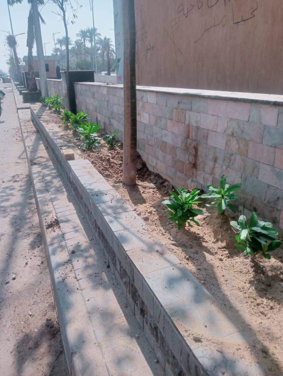 الجيزة تواصل جهودها لتجميل الشوارع ودعم المسطحات الخضراء