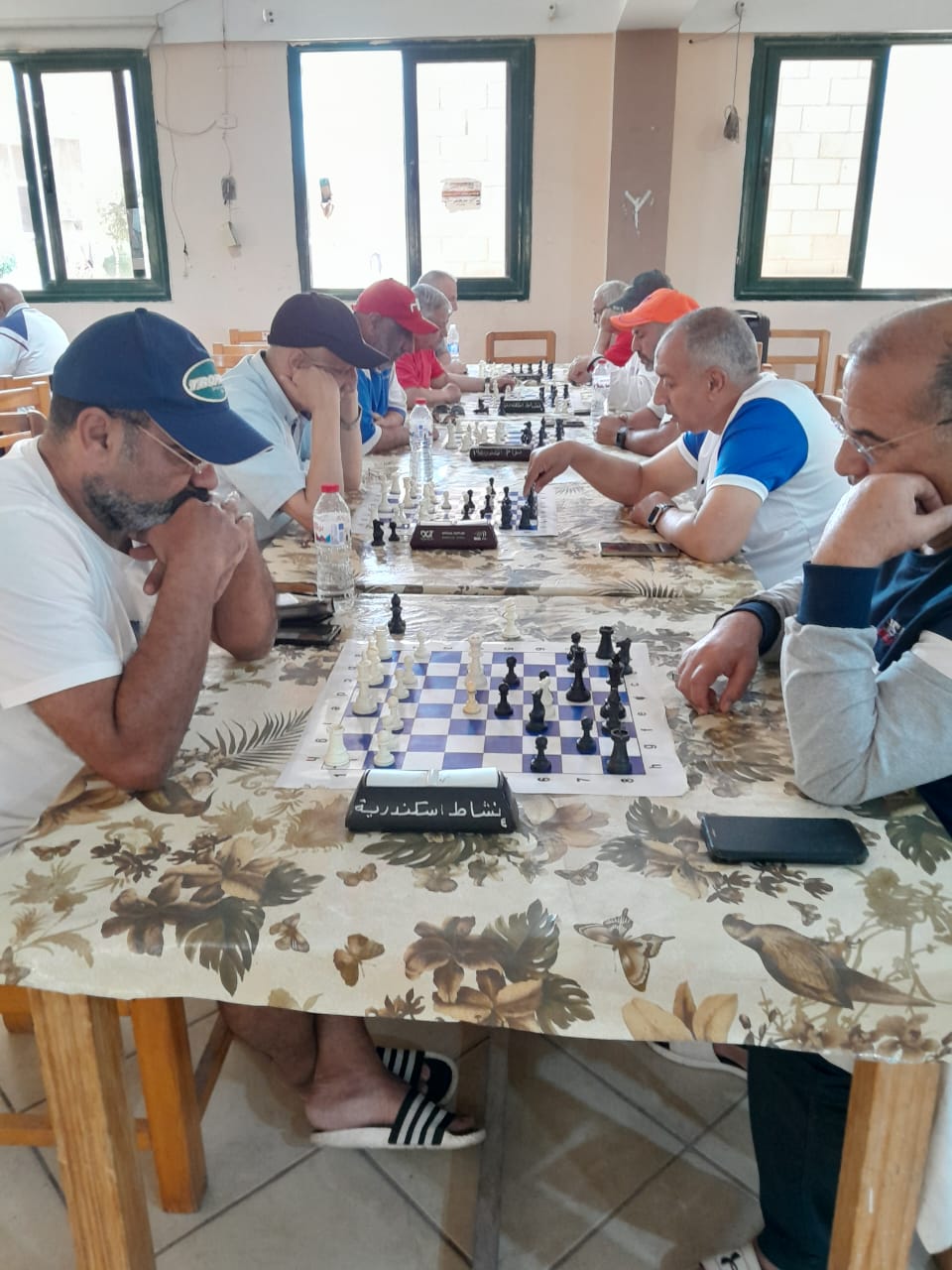 الشباب والرياضة تحتفل باليوم العالمي للمسنين