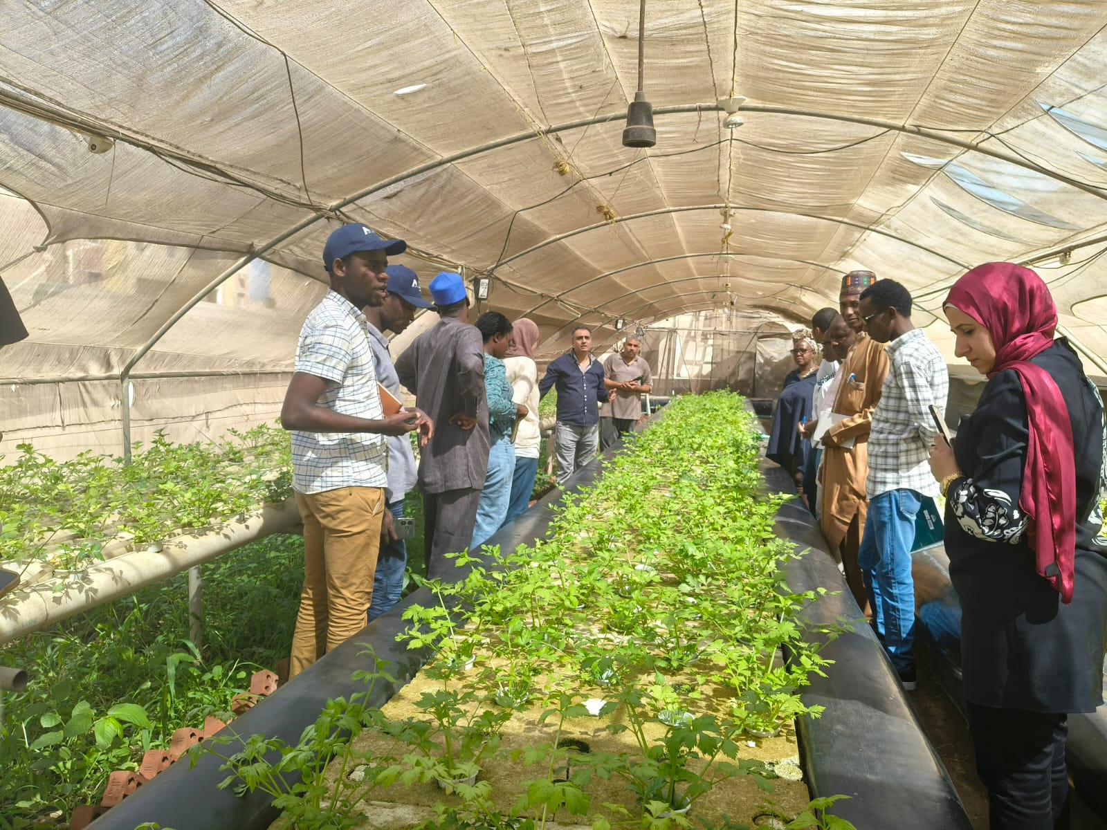 وفد إفريقي يزور فرع المياه الداخلية والمزارع السمكية بالقناطر الخيرية للاطلاع على أحدث نظم الاستزراع السمكي باستخدام الذكاء الاصطناعي 3 وفد إفريقي يزور فرع المياه الداخلية والمزارع السمكية بالقناطر الخيرية