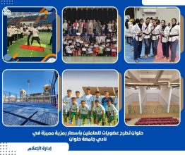 almomken.com 2df8b4c9