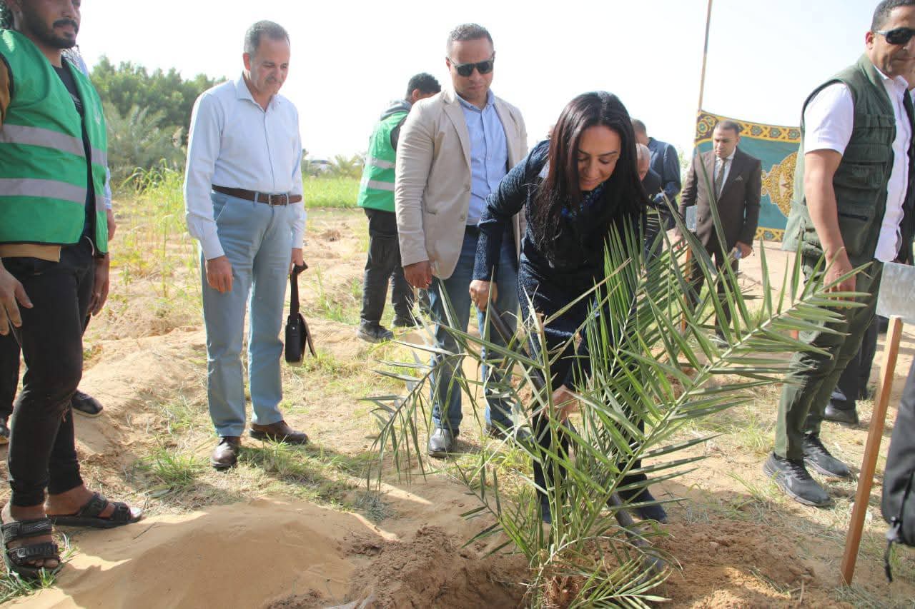 almomken.com 5a3ba03f