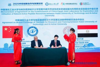 almomken.com ca875b3e