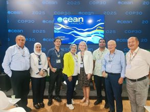 almomken.com d569cfd0