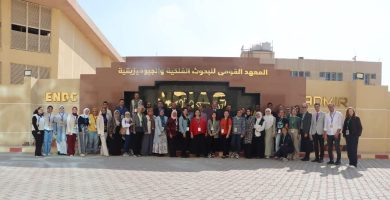 almomken.com 136d9ecc