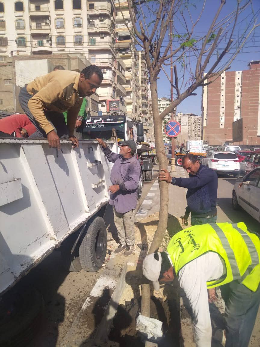 almomken.com 3690cc90