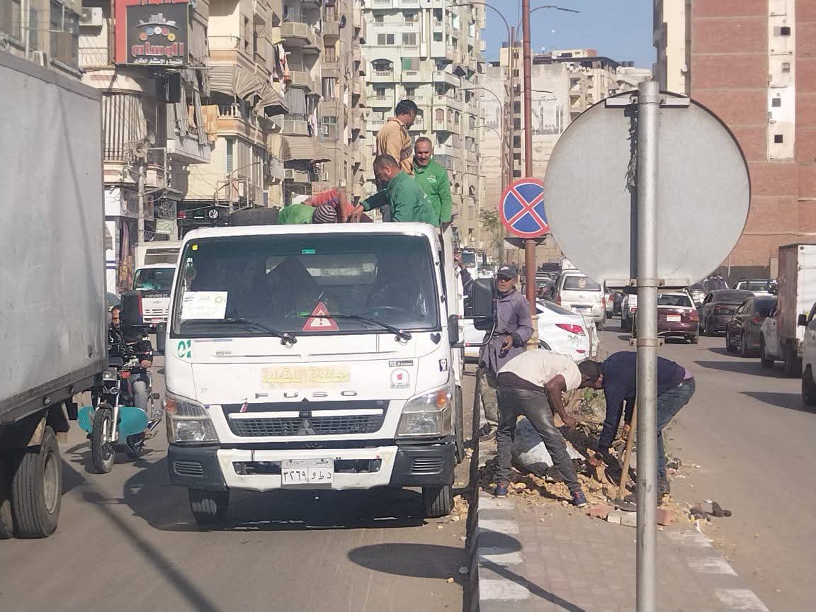 الدقهلية تواصل التشجير في المرحلة الرابعة من مبادرة "100 مليون شجرة"