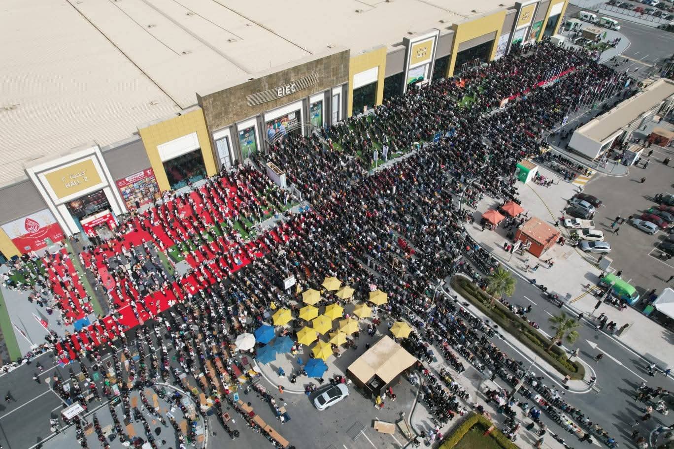 مليون زائر خلال يومين من فتح أبواب معرض القاهرة الدولي للكتاب للجمهور 2 مليون زائر خلال يومين من فتح أبواب معرض القاهرة الدولي للكتاب للجمهور