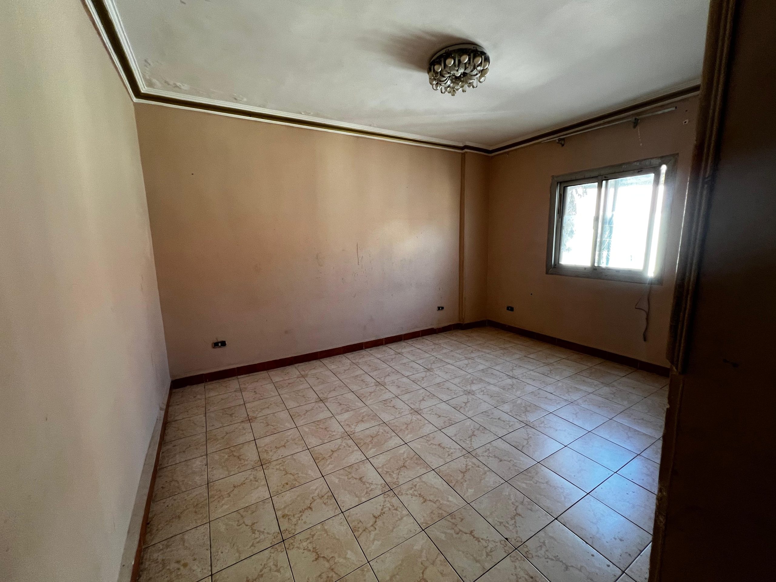 almomken.com 2dba604e scaled