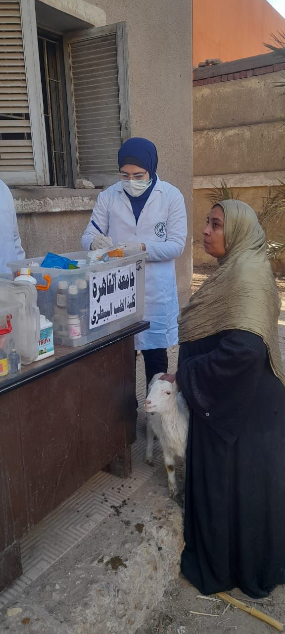 almomken.com 6bc4ce1a