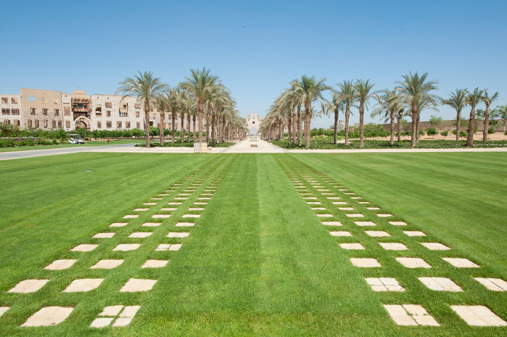 للمرة السابعة عالميًا: الجامعة الأمريكية بالقاهرة تتصدر المشهد البيئي