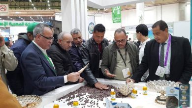 almomken.com bd882ba9