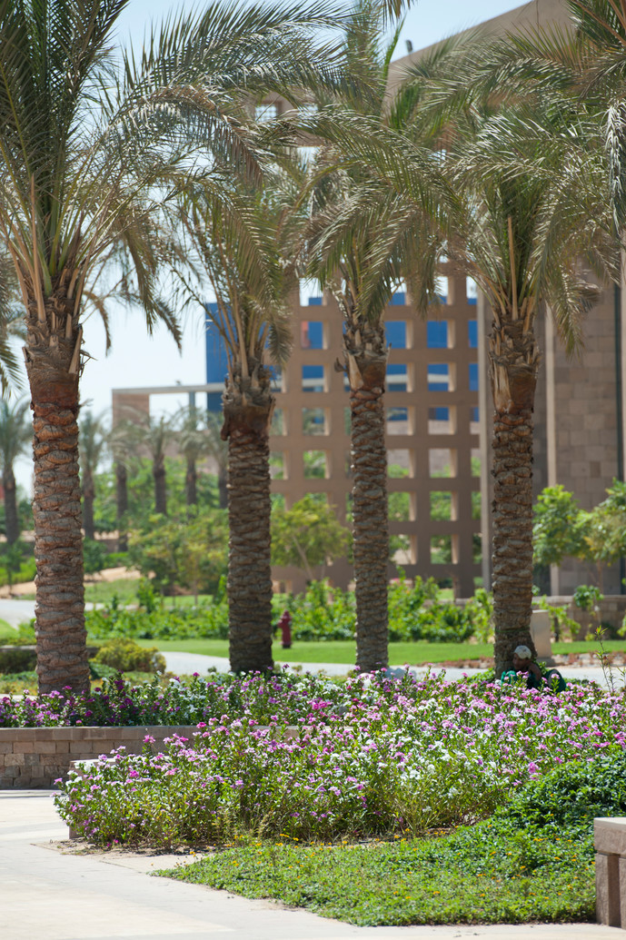 almomken.com d5017630