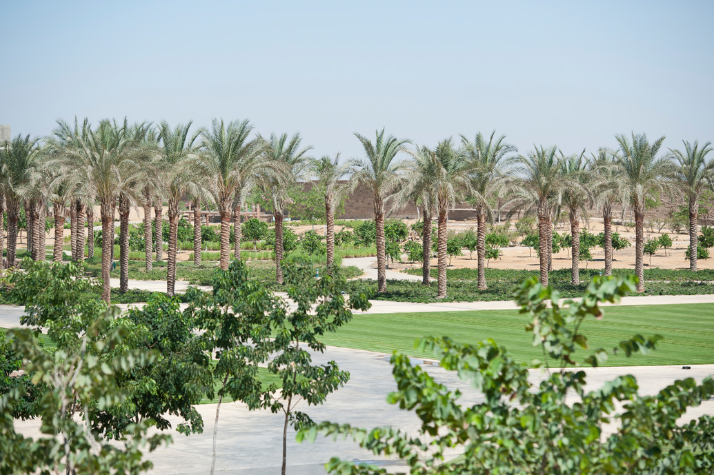 للمرة السابعة عالميًا: الجامعة الأمريكية بالقاهرة تتصدر المشهد البيئي