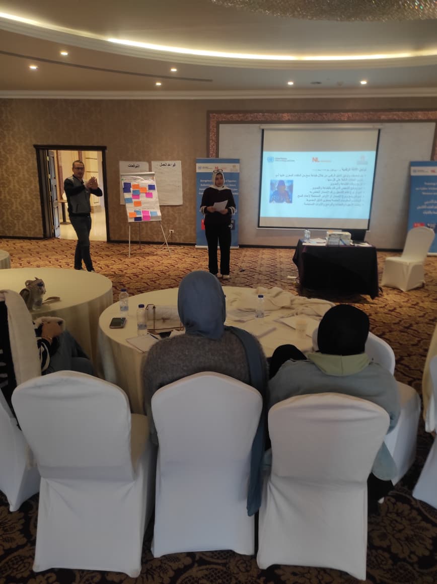 برنامج "تعزيز قدرات السلطات المصرية فى مواجهة العنف ضد المرأة 