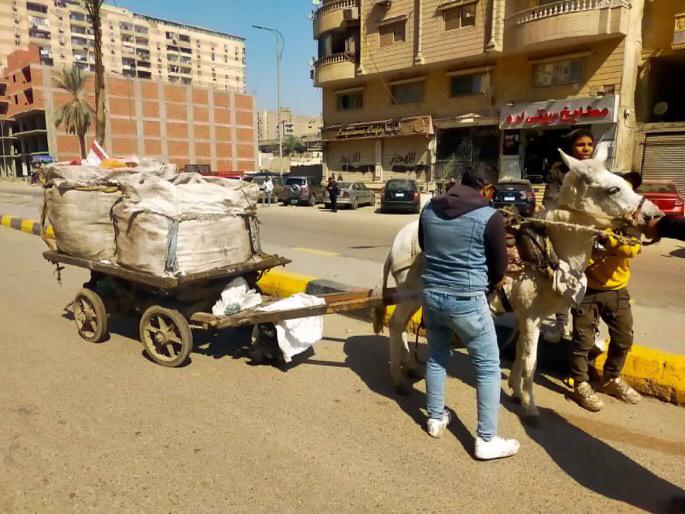 حملات مكثفة لمواجهة النباشين بمحافظ الجيزه 3 ضبط 24 عربة كارو و تروسيكل خلال حملات مكثفة لمواجهة النباشين بمحافظ الجيزه