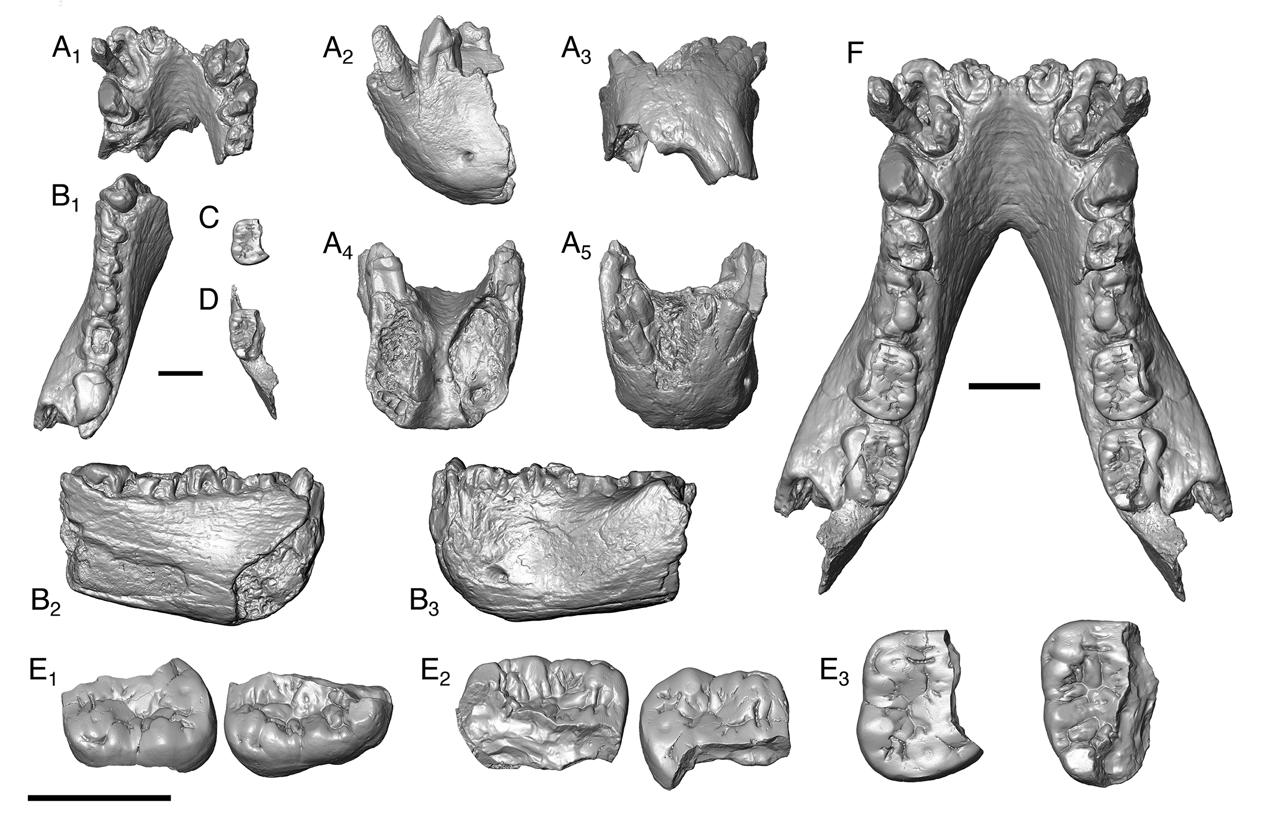 النشر فى مجلة Science  بقيادة مصرية كاملة